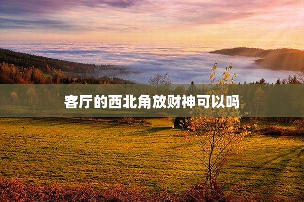 客厅的西北角放财神可以吗