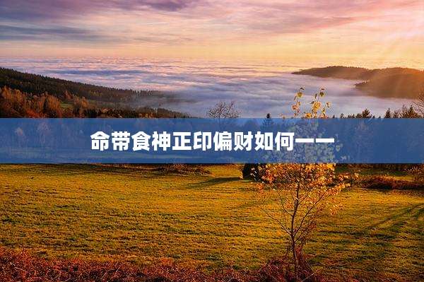 命带食神正印偏财如何一一
