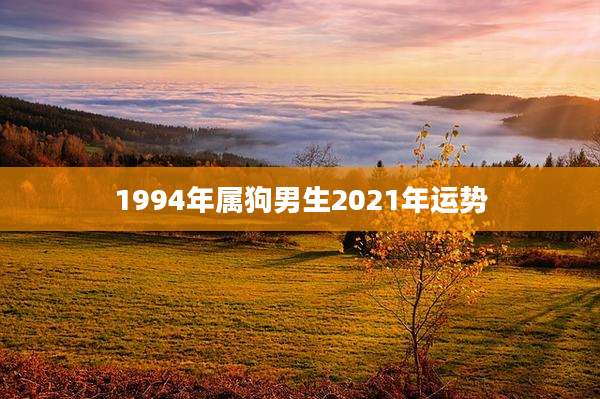 1994年属狗男生2021年运势