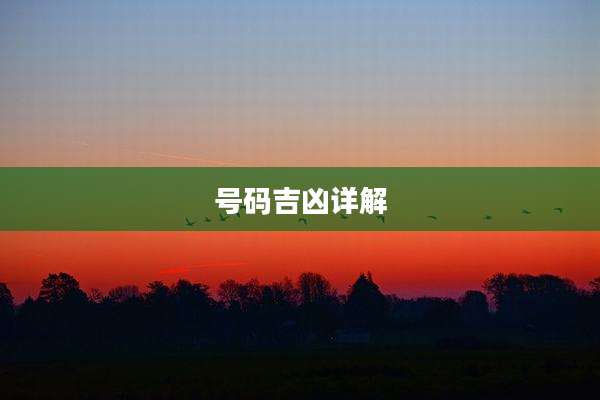 号码吉凶详解