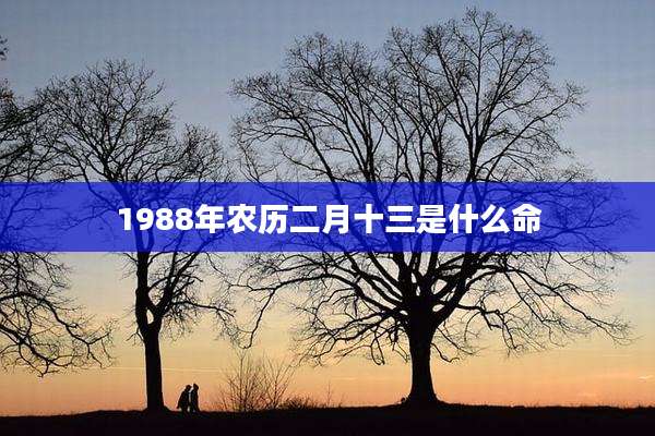1988年农历二月十三是什么命