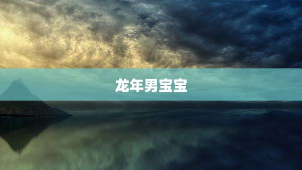 龙年男宝宝
