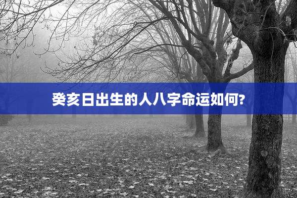 癸亥日出生的人八字命运如何?