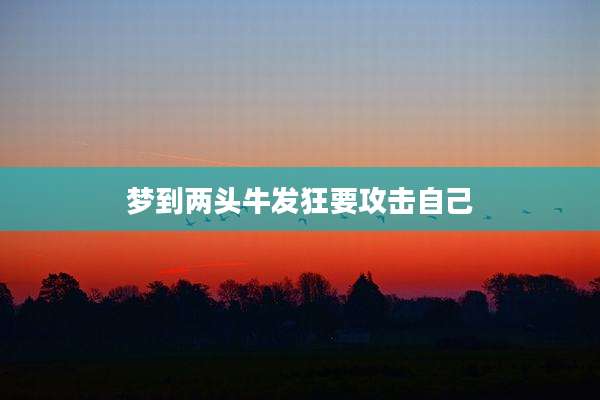 梦到两头牛发狂要攻击自己