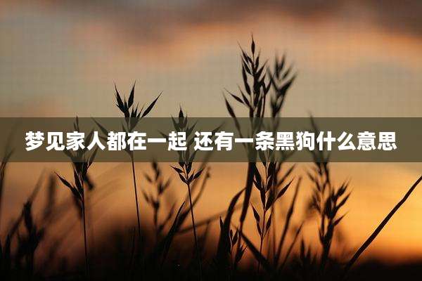 梦见家人都在一起 还有一条黑狗什么意思
