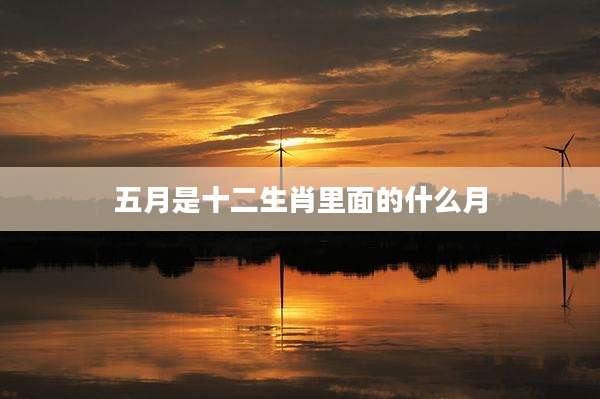 五月是十二生肖里面的什么月