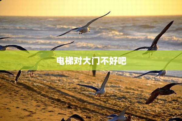 电梯对大门不好吧