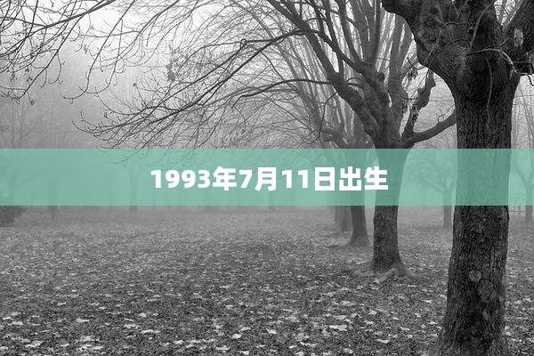 1993年7月11日出生