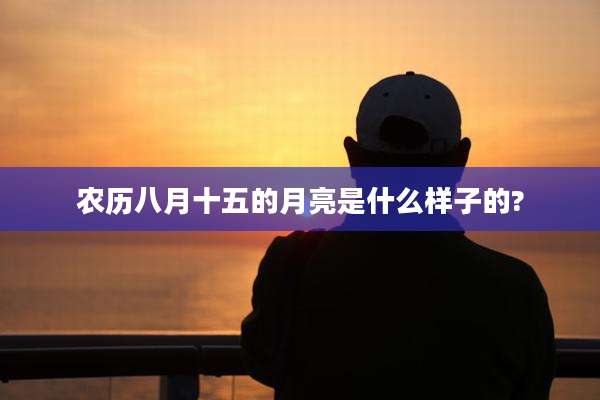 农历八月十五的月亮是什么样子的?