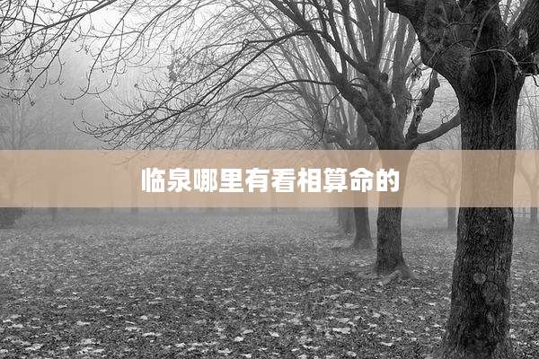 临泉哪里有看相算命的