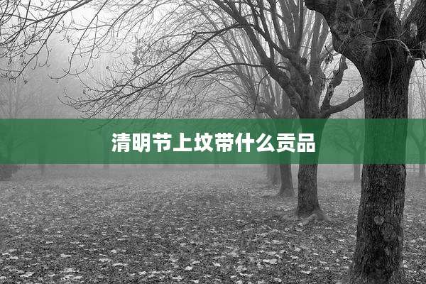 清明节上坟带什么贡品