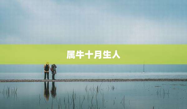属牛十月生人