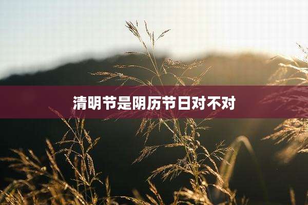 清明节是阴历节日对不对