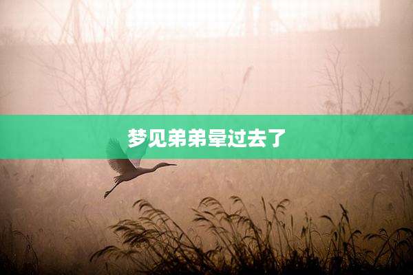 梦见弟弟晕过去了