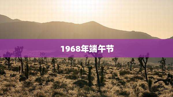 1968年端午节