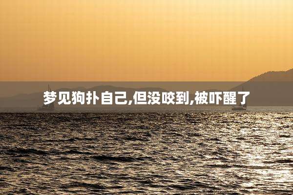 梦见狗扑自己,但没咬到,被吓醒了