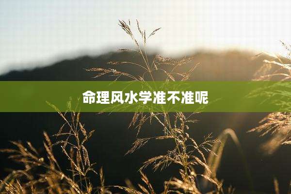 命理风水学准不准呢