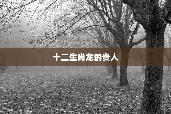 十二生肖龙的贵人