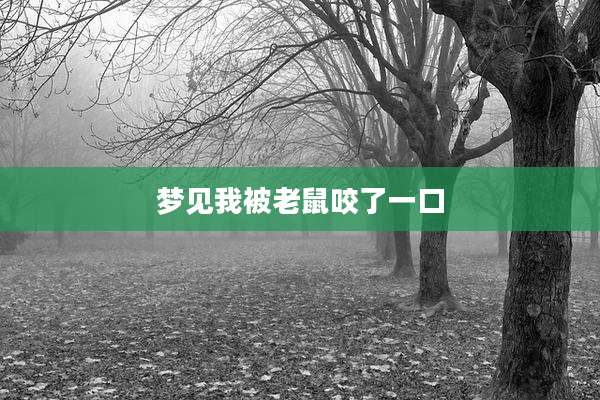 梦见我被老鼠咬了一口