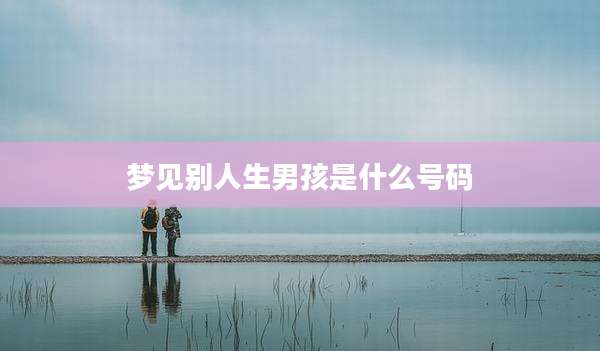 梦见别人生男孩是什么号码
