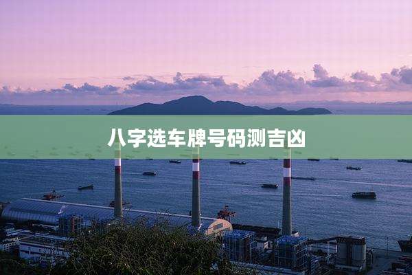 八字选车牌号码测吉凶