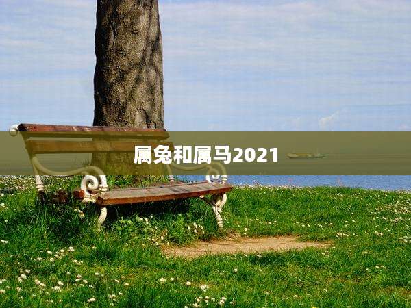 属兔和属马2021