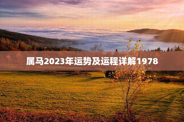 属马2023年运势及运程详解1978