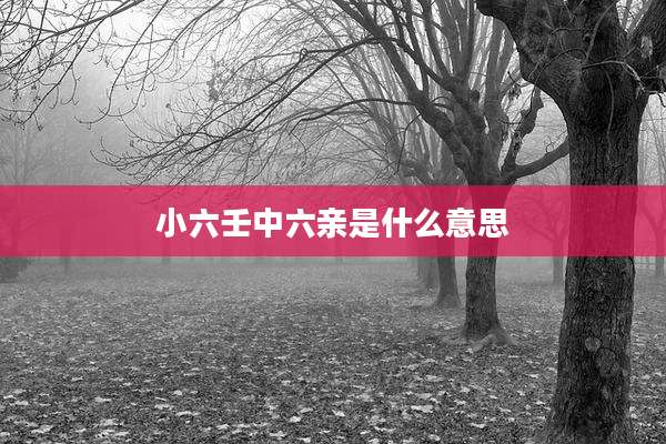 小六壬中六亲是什么意思