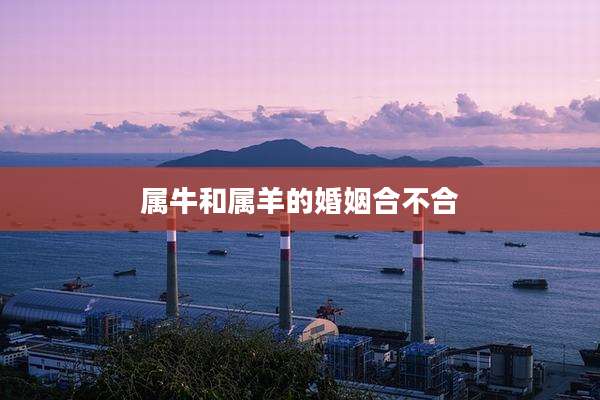 属牛和属羊的婚姻合不合