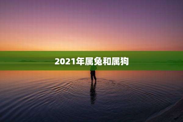 2021年属兔和属狗