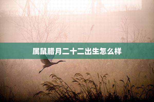 属鼠腊月二十二出生怎么样