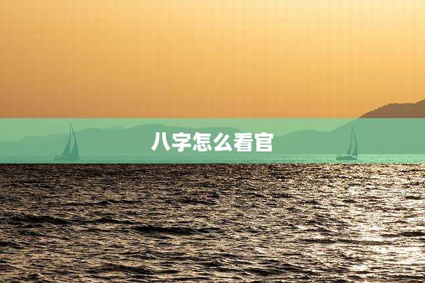 八字怎么看官