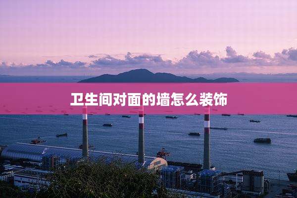卫生间对面的墙怎么装饰