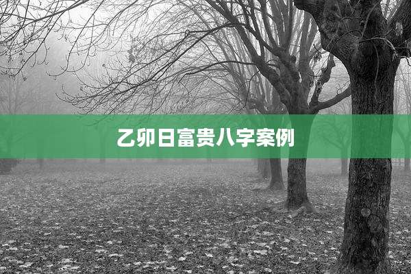 乙卯日富贵八字案例