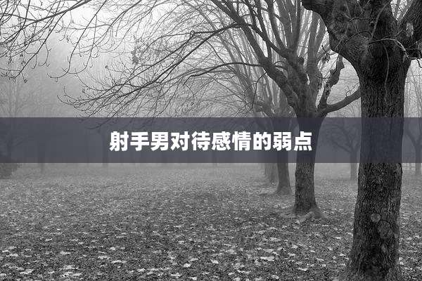 射手男对待感情的弱点