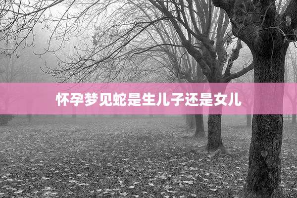 怀孕梦见蛇是生儿子还是女儿