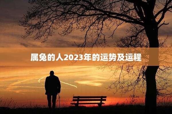 属兔的人2023年的运势及运程