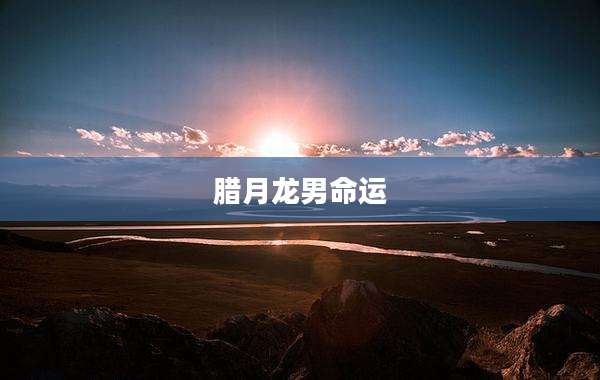 腊月龙男命运