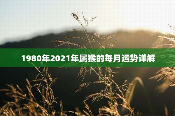 1980年2021年属猴的每月运势详解