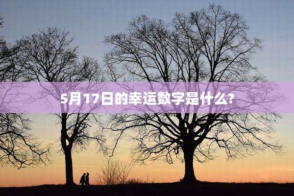 5月17日的幸运数字是什么?