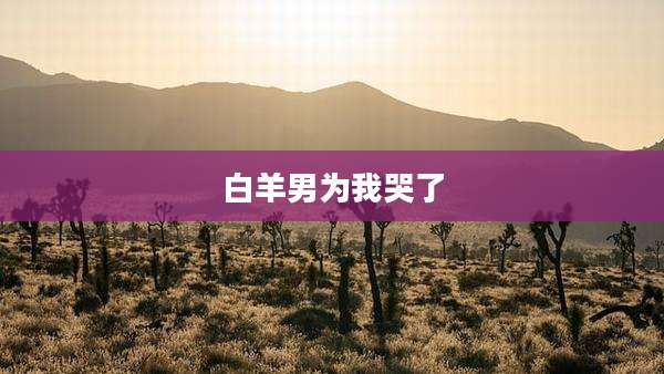 白羊男为我哭了