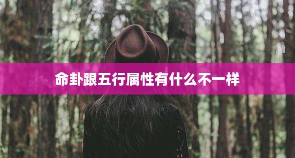 命卦跟五行属性有什么不一样