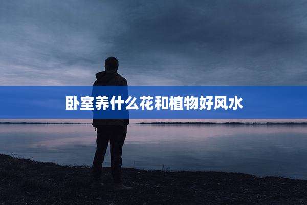 卧室养什么花和植物好风水