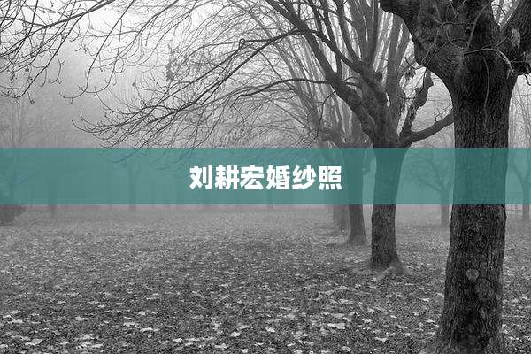 刘耕宏婚纱照
