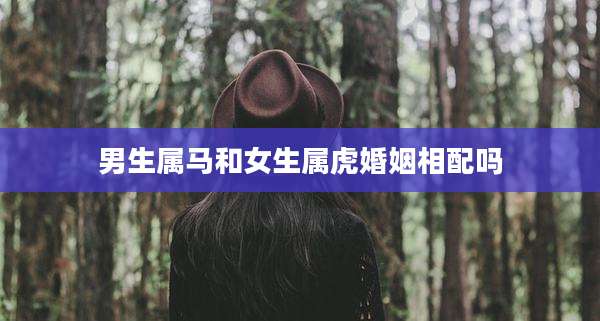 男生属马和女生属虎婚姻相配吗
