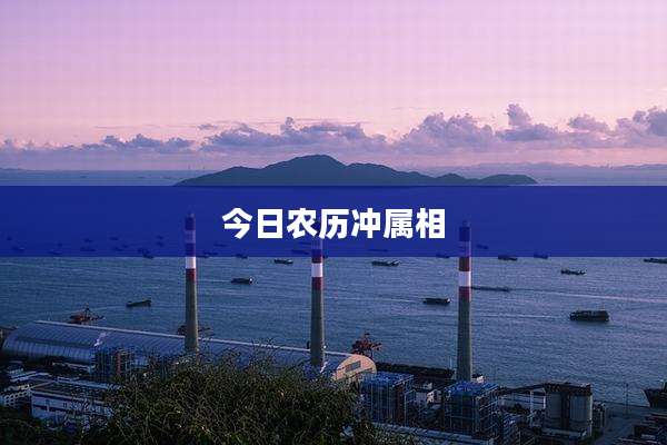今日农历冲属相