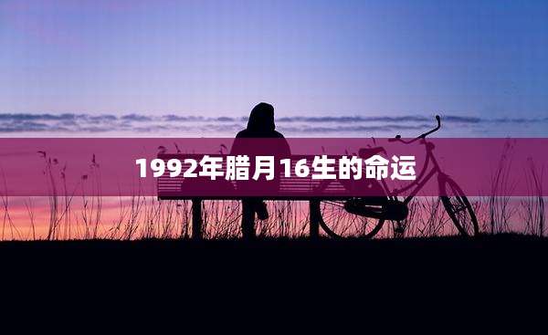 1992年腊月16生的命运