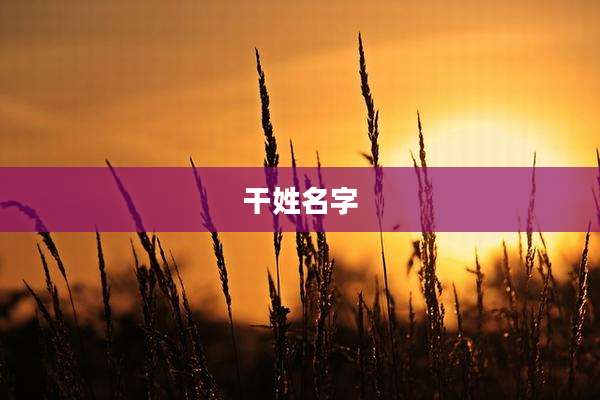 干姓名字