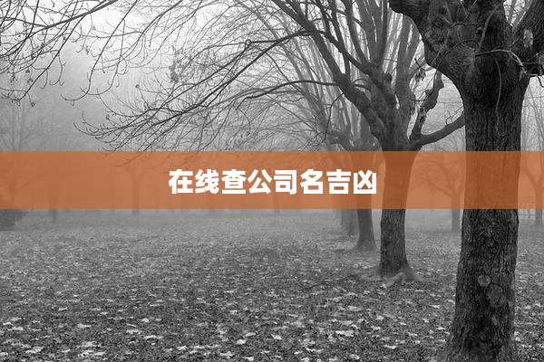 在线查公司名吉凶