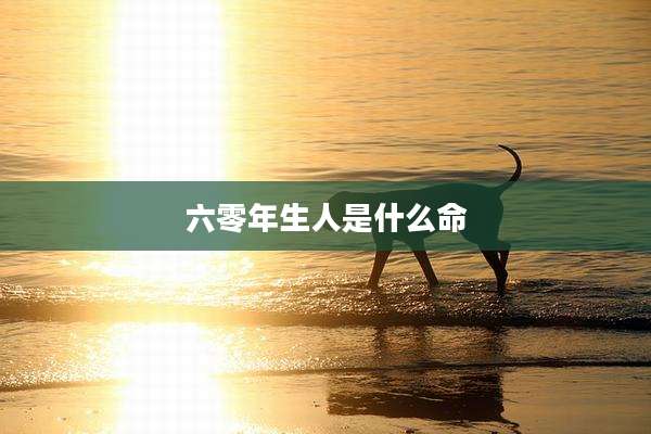 六零年生人是什么命